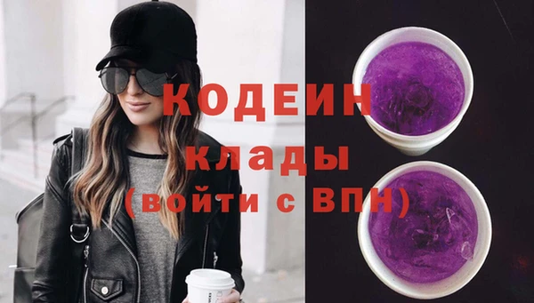 индика Арсеньев