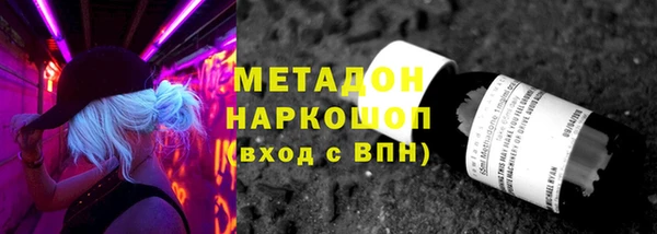 индика Арсеньев