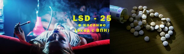 индика Арсеньев