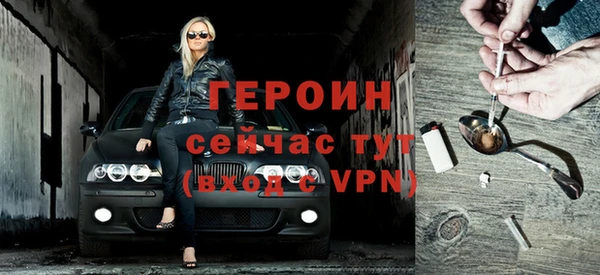индика Арсеньев