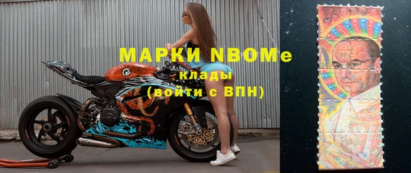 индика Арсеньев