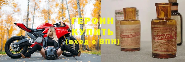 индика Арсеньев