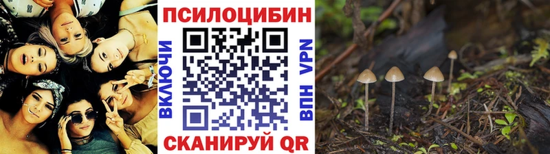 Псилоцибиновые грибы ЛСД kraken ТОР Боготол